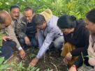 kumaon-university-plantation-