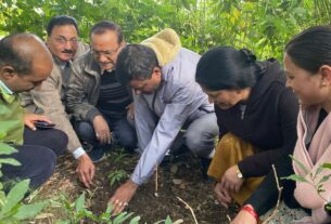 kumaon-university-plantation-