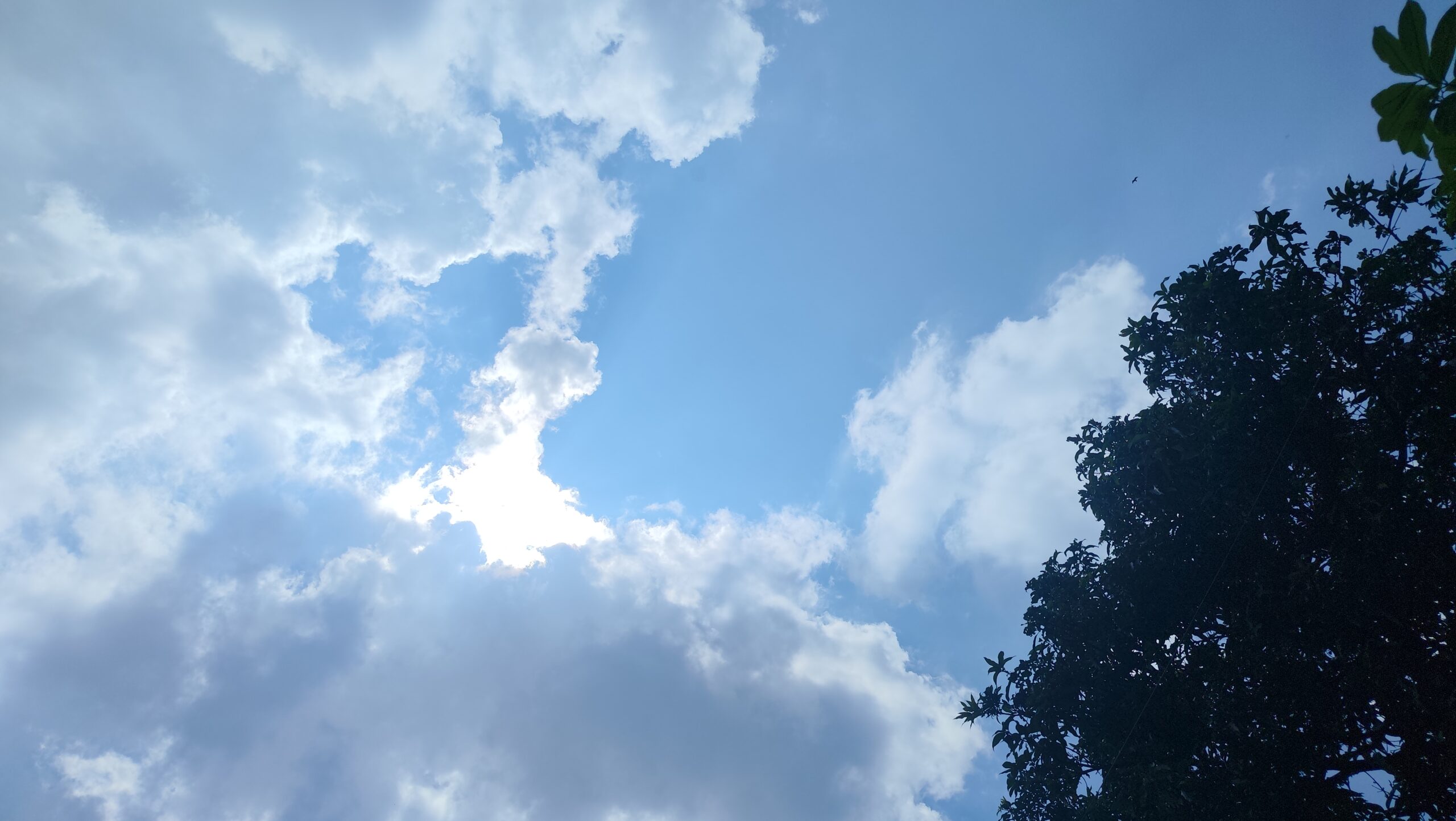 uk-weather-rain-alert-